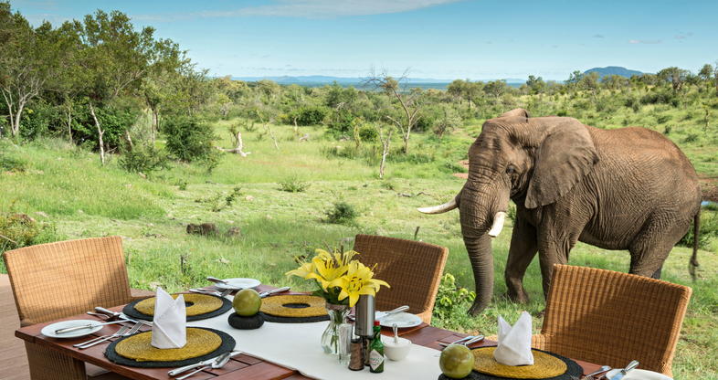 africa